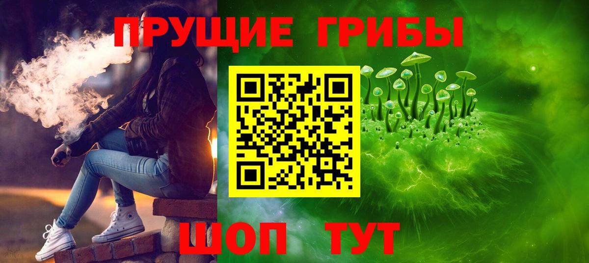 Саров  Галлюциногенные грибы Magic Shrooms  Вход с VPN  Галлюциногенные грибы Psilocybine cubensis 